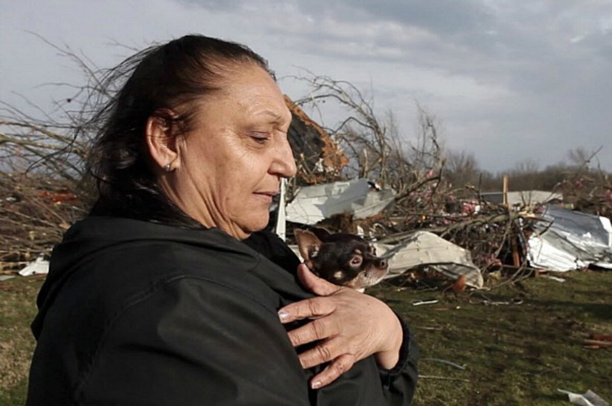 The baby in the cornfield: Tales of tiny tornado survivors